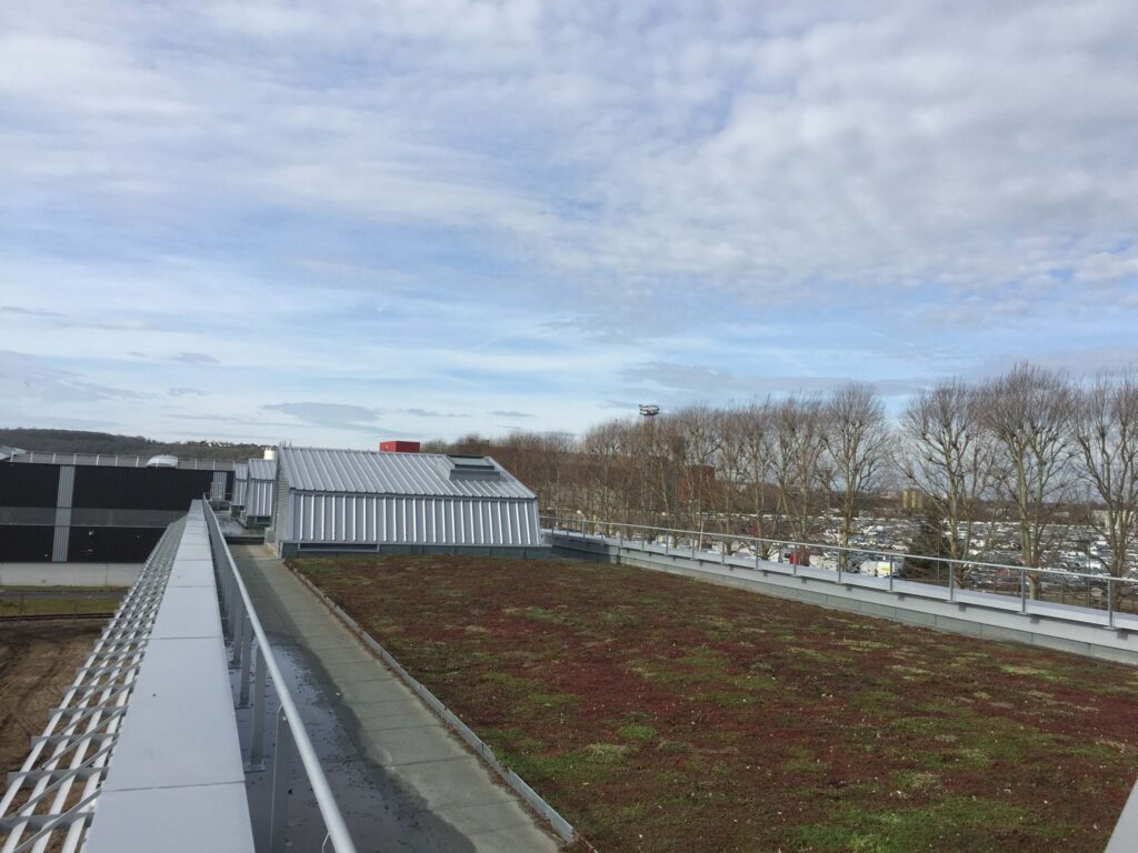 Végétalisation de toiture sur support acier à Limay (78), chantier LCIE Étanchéité